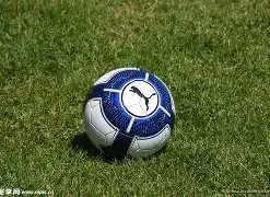 开云体育官,网下载,资讯,开云体育,开云体育官网,开云体育app,开云体育平台,KAIYUN,SPORTS,kaiyun登录入口